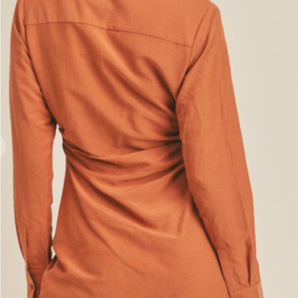 🆕NWT Bronzed Dress - Picture 2 of 2